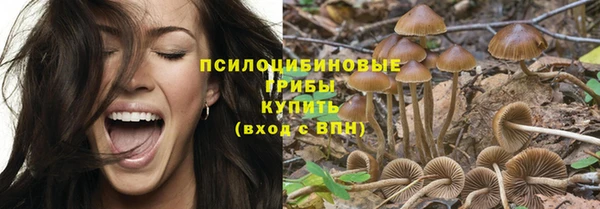 герыч Мегион