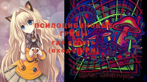 кокаин перу Михайлов